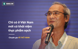 Chuyên gia Vũ Thế Thành: Chỉ có ở Việt Nam mới có khái niệm thực phẩm sạch