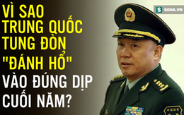 [VIDEO] Vì sao Trung Quốc tung đòn "đả hổ" vào đúng dịp cuối năm 2016?