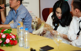 Thanh Lam đưa thú cưng đi họp báo