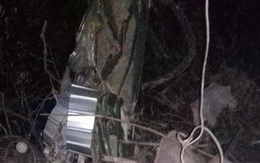 Đón cháu đi học về, mẹ chồng phát hiện con dâu treo cổ trên cây