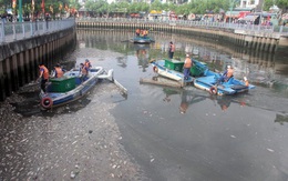 Lắp vòi bơm, máy quạt giúp cá sống ở kênh Nhiêu Lộc