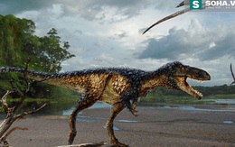 Sự thật bất ngờ về lịch sử tiến hóa của khủng long bạo chúa T-rex