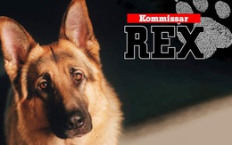 Rex – chú chó thám tử mãi sống trong lòng thế hệ 8x, 9x