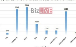 Bức tranh lợi nhuận ngân hàng năm 2015 nói lên điều gì?