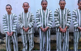 Triệt phá đường dây làm giả giấy tờ vay tiền ngân hàng