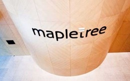 Lai lịch “đại gia” vừa chi 215 triệu USD mua lại Kumho Asiana Saigon