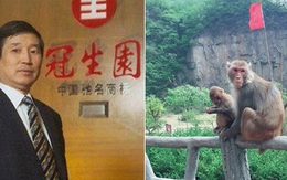 Doanh nhân chết thảm khi đi du lịch vì bị khỉ ném đá
