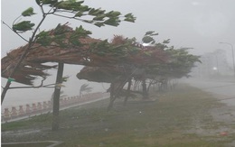 Tin khẩn về đường đi của bão số 1, Hà Nội có gió giật đến cấp 7-8