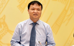 Thứ trưởng Bộ Công thương trả lời về vụ trụ cột điện "trộn đất"