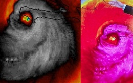 Mỹ: Hình ảnh vệ tinh của cơn bão "mặt quỷ" Matthew đang khiến người dân khiếp vía