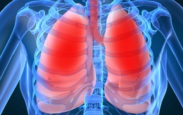 Bạn sẽ ngạc nhiên trước sự thay đổi của phổi khi hít một hơi thật sâu