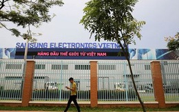 Note 7 phát nổ có thể khiến Việt Nam thiệt hại hàng triệu USD xuất khẩu