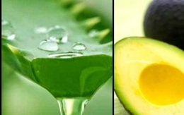 Lợi ích sức khỏe của sinh tố nha đam và trái bơ