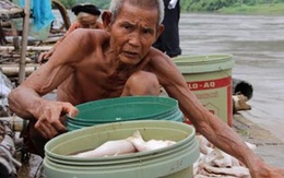 Lộ nguyên nhân khiến gần 125 tấn cá bị chết ở Thanh Hóa
