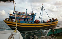 Bình Thuận: Bị phát hiện vi phạm, đạp 3 cán bộ bảo vệ nguồn lợi thủy sản xuống biển