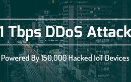 Vừa có một cuộc tấn công DDoS lớn nhất từ trước đến nay, "hung thủ" có thể chính là máy giặt nhà bạn