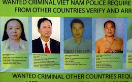 Nhiều quốc gia phối hợp truy bắt Trịnh Xuân Thanh