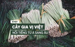Bí mật về 1 "kho báu" luôn sẵn trong bếp của người Việt, nổi tiếng khắp từ Á sang Âu