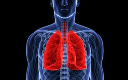 Muốn biết phổi của bạn khỏe hay yếu, hãy thử ngay 4 cách tự kiểm tra đơn giản này