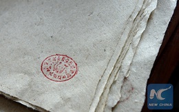Thầy giáo Trung Quốc phát minh ra cách làm giấy từ phân gấu trúc dựa theo phương pháp cổ từ 2.000 năm trước