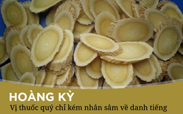 Biết 10 tác dụng kỳ diệu của cây dại này, bạn sẽ không cần phải "lùng" mua nhân sâm nữa