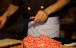 Sự thật những lời đồn đại về loại thịt bò đắt đỏ nhất thế giới chỉ dành cho giới thượng lưu