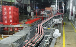 Coca-Cola kiên định trên con đường phát triển bền vững