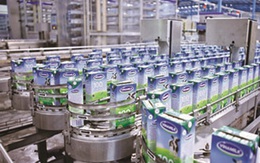 Vinamilk - “miếng mồi” ngon của nhiều nhà đầu tư ngoại