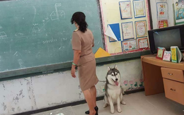 "Hoành tráng" như chú chó lên lớp đứng giảng cùng "mẹ"