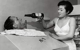 Thân phận kỹ nữ thời xưa : Gái làng chơi Nhật khốn đốn nếu trót lỡ có tình yêu