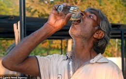 Kinh ngạc với người đàn ông uống nước tiểu bò để trị bệnh