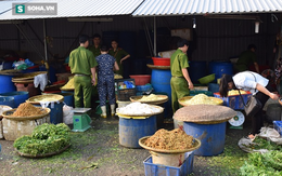 Thừa Thiên Huế: Phát hiện 2 cơ sở dùng chất độc hại để nhuộm măng