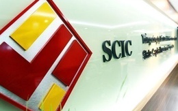 SCIC thoái vốn tại Xuất Nhập khẩu Hà Tĩnh với giá thấp hơn mệnh giá