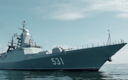 Hải quân Việt Nam: Tối ưu cùng tàu hộ vệ tên lửa tàng hình Tiger?