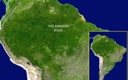 Bí mật thành phố của người khổng lồ trong rừng già Amazon