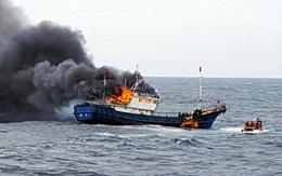 Video cảnh sát biển Hàn Quốc ném lựu đạn choáng vào tàu cá Trung Quốc