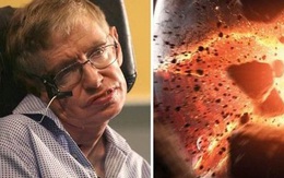 Stephen Hawking: "Chúng ta đang sống trong thời kỳ nguy hiểm nhất lịch sử nhân loại"