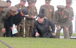 Ông Kim Jong-un tìm thấy suối "trường sinh bất lão"