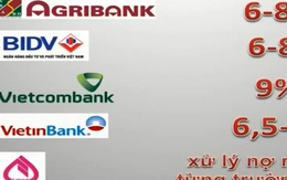 Hàng loạt ngân hàng thương mại hỗ trợ ngư dân thiệt hại do cá chết bất thường