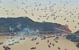 Đội tàu cá Trung Quốc đang vét sạch biển Tây Phi