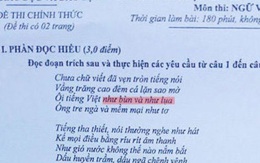 Bộ GD&ĐT lên tiếng về câu thơ gây tranh cãi trong đề thi Văn