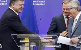 Stratfor: Cửa vào EU ngày càng đóng với Ukraine