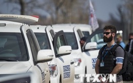 OSCE: Gần 30% vũ khí hạng nặng lưu giữ ở Donbass biến mất
