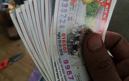 Trâu không chọi và chuyện "ngăn cản quyền tự do chống ế"