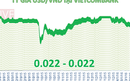 Tỷ giá trung tâm và USD tại ngân hàng tiếp tục lao dốc