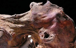 Truy tìm bí ẩn trăm năm của "xác ướp la hét" nổi tiếng ở Ai Cập