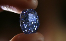 Viên kim cương xanh hình bầu dục lớn nhất thế giới chuẩn bị được đấu giá lên đến 780 tỷ đồng
