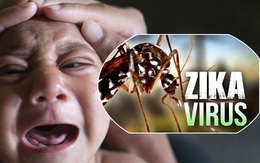 Bộ Y tế công bố hết dịch bệnh Zika