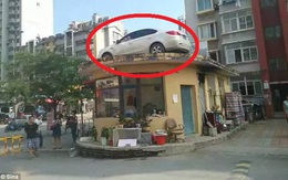 Tài xế cùng xe hơi chễm chệ "ngự" trên nóc nhà vì đỗ sai quy định