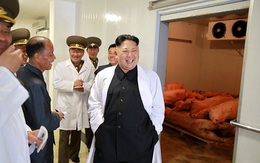 24h qua ảnh: Kim Jong Un tươi cười thăm trại nuôi lợn của quân đội